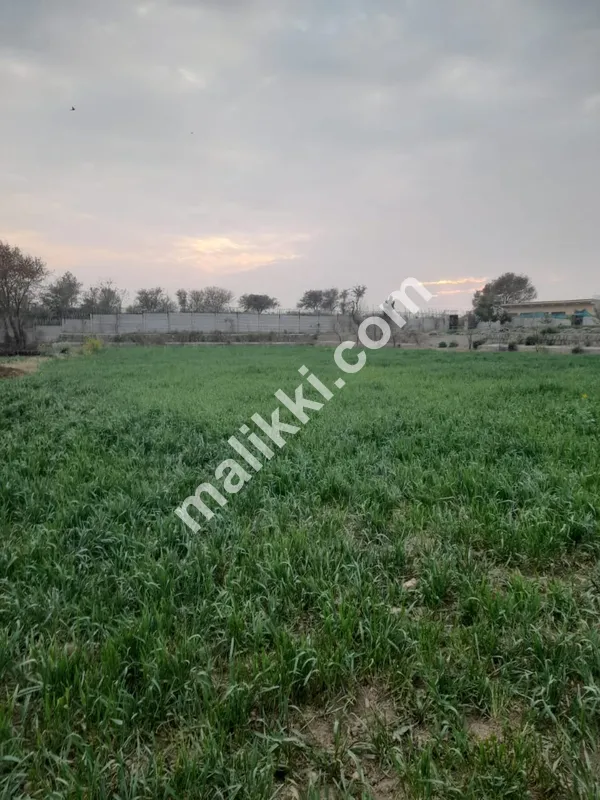 ڈیری فارم برائے فروخت