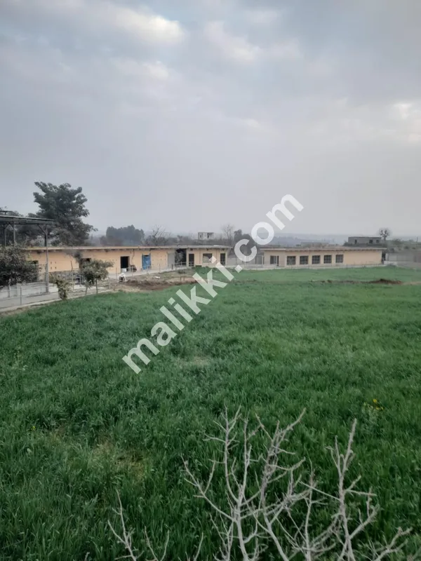 ڈیری فارم برائے فروخت