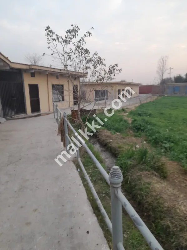 ڈیری فارم برائے فروخت