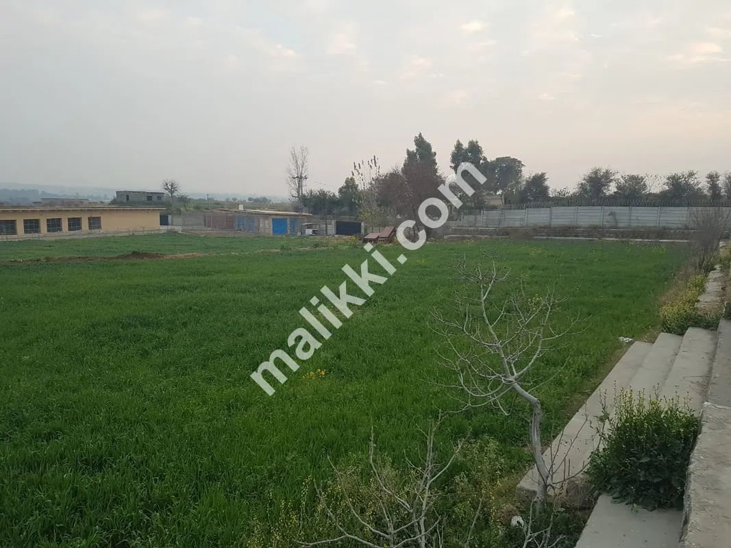 ڈیری فارم برائے فروخت