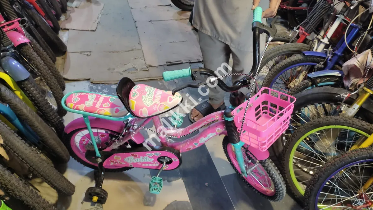 Barbie Cycle for Girls
