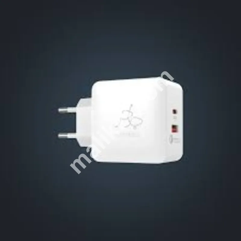 Charger blaze 25w