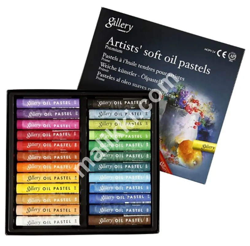 Mungyo Gallery Soft Oil Pastels 24 pcs 