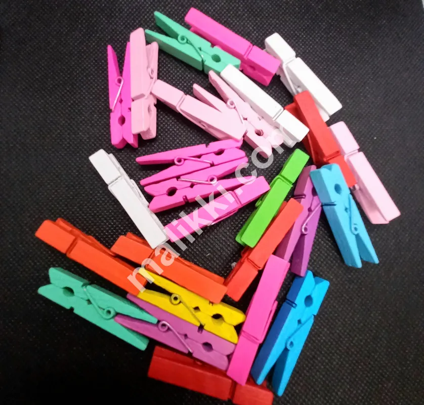 DIY Wooden Colored Clips