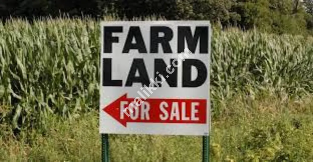 16 Kanal Farmhouse Land 4 side Boundry Done Available For Sale 