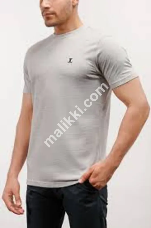 Gray T Shirt
