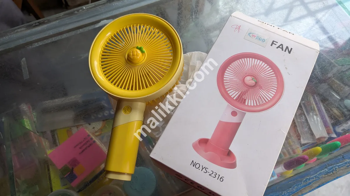 Mini Wego Fan