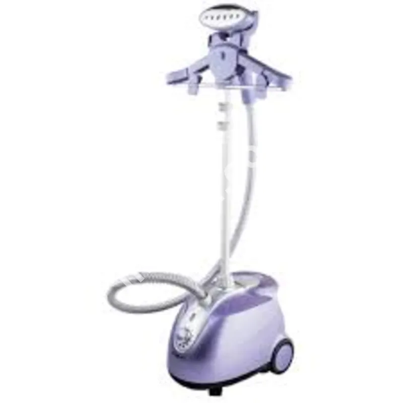 Handy Steamer Iron