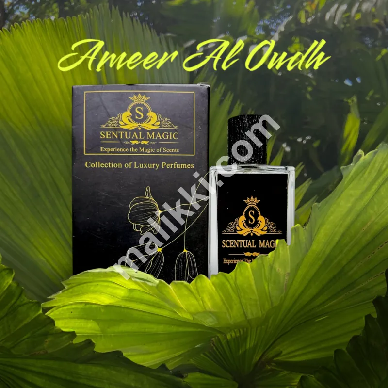 Ameer Al Oudh Impression