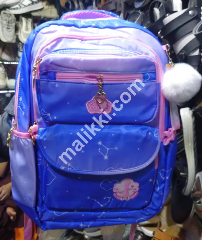 School/College Bag For Girls 